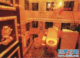 世界上最贵的厕所