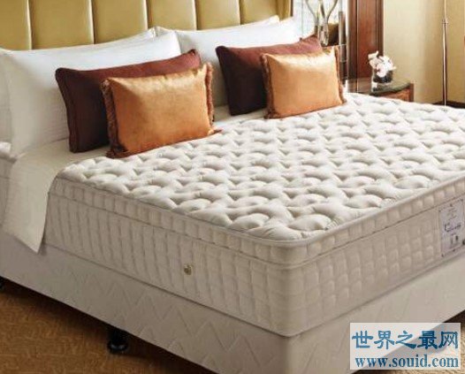 世界上最贵的床垫，竟然高达900万一张！(www.gifqq.com)