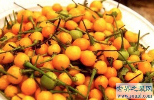 世界上最贵的辣椒，要价25000美刀一公斤(www.gifqq.com)