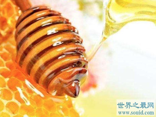 世界上最贵的蜂蜜，售价高达每公斤5000欧