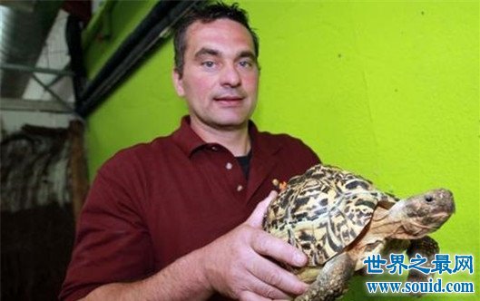 世界上爬行最快的乌龟，速度达0.28米/秒，堪称龟界博尔特(www.gifqq.com)
