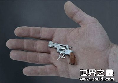 世界上最小的左轮手枪(www.gifqq.com)