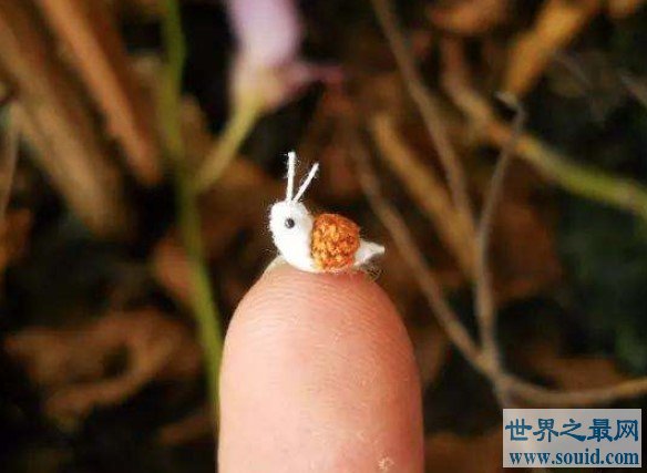 世界最小的蜗牛，可以放进针的穿线洞里(www.gifqq.com)