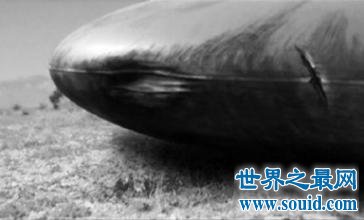 神奇的中国ufo三大悬案 外星人与人类性交(www.gifqq.com)