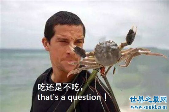 第一个吃螃蟹的人是谁？勇于踏出自己的第一步(www.gifqq.com)