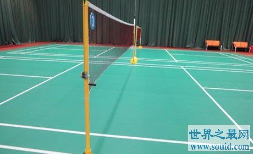 国际标准羽毛球网最高高度，网中间高1.524米，网柱高1.55米