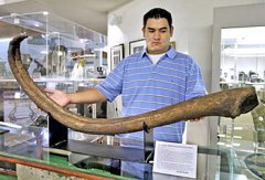 世界上最大的阴茎化石