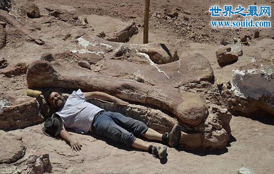 世界上最大的恐龙化石，牧羊人发现巨型骨头(长40米)(www.gifqq.com)