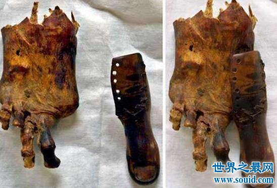 世界上最古老的假肢，古墓主人大脚趾(距今3000年)(www.gifqq.com)