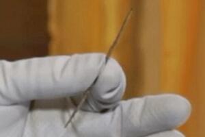 世界上最古老的针，用鸟骨制成(距今5000年)