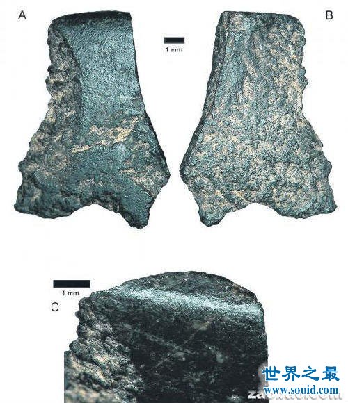 世界上最古老的斧头，5万年前的玄武岩石头斧头(www.gifqq.com)