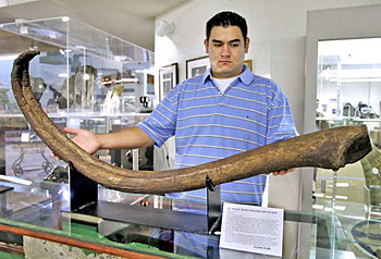 世界上最大的阴茎化石(www.gifqq.com)