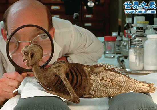 世界上最著名的十大考古骗局，斐济美人鱼欺骗全世界(www.gifqq.com)