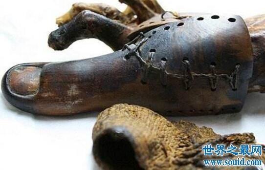 世界上最古老的假肢，古墓主人大脚趾(距今3000年)(www.gifqq.com)