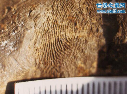 世界上人类最早的指纹，7000年前女人或小孩(www.gifqq.com)