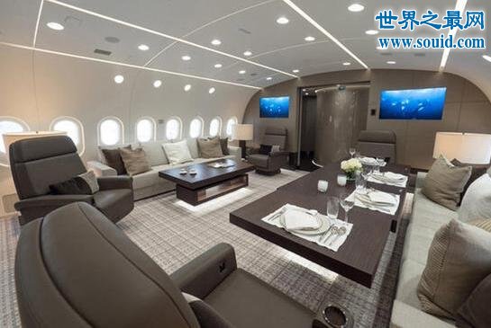 世界最豪华飞机，波音787被中国富豪21亿买下(www.gifqq.com)