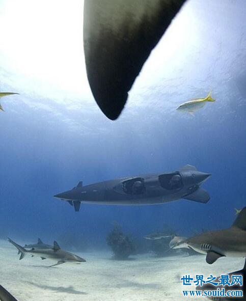 世界最快个人潜艇，Ortega(数秒潜入100米)(www.gifqq.com)