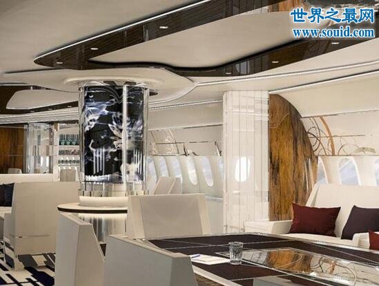 世界最豪华飞机，波音787被中国富豪21亿买下(www.gifqq.com)