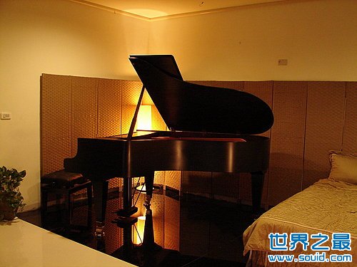 世界上最贵的钢琴(www.gifqq.com)