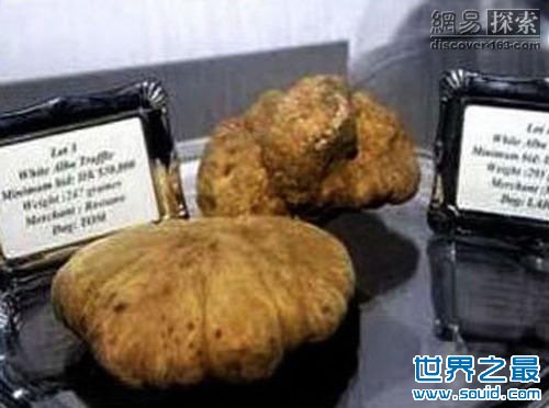 世界上最贵的蘑菇(www.gifqq.com)