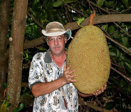 世界上最大的菠萝蜜(www.gifqq.com)