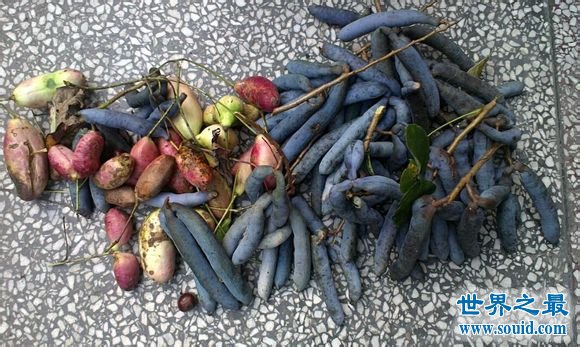 世界上最罕见的10种水果，超市绝对不会卖的(www.gifqq.com)