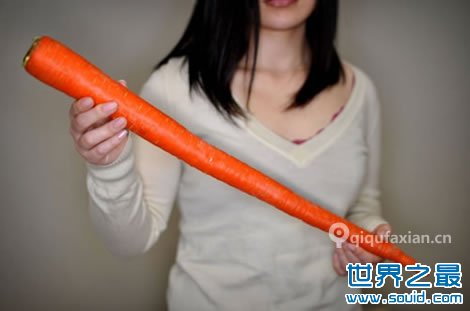 世界上最长的胡萝卜(www.gifqq.com)