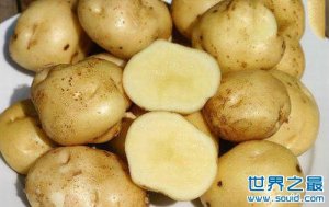 世界上最贵的土豆
