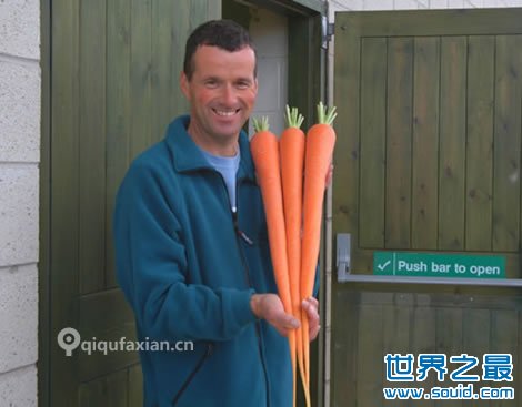 世界上最长的胡萝卜(www.gifqq.com)