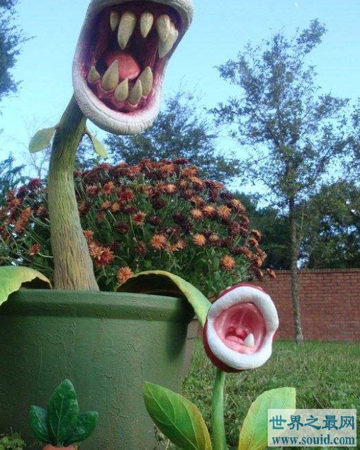 世界上最恐怖的花 食人花，吃掉十个生命才开一朵花(www.gifqq.com)