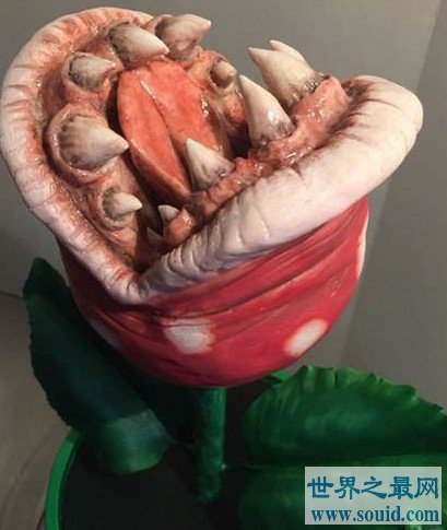 世界上最恐怖的花 食人花，吃掉十个生命才开一朵花(www.gifqq.com)