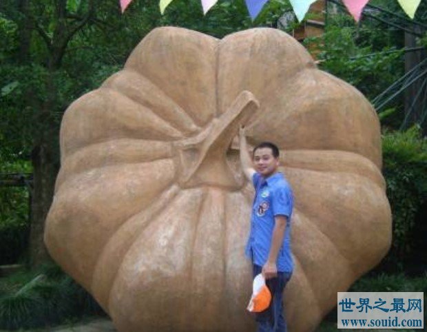 世界上最大的南瓜，居然将近2千斤(www.gifqq.com)