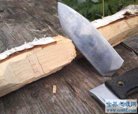 世界最硬的木头，可以抵挡住一般的子弹(www.gifqq.com)