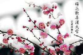 中国十大名花排名，花中之魁梅花第一(牡丹第二)