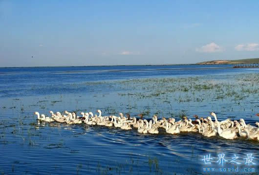 最新中国五大淡水湖，湖水干枯，排名变动(www.gifqq.com)