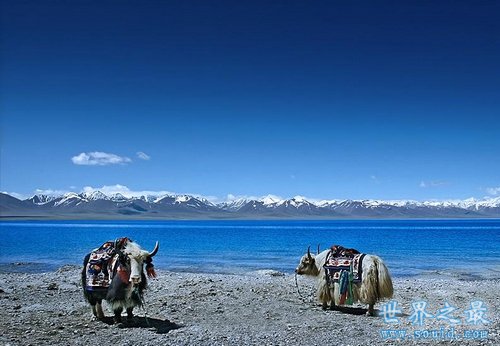 中国海拔最高的湖，霍尔泊湖(也是世界最高)(www.gifqq.com)