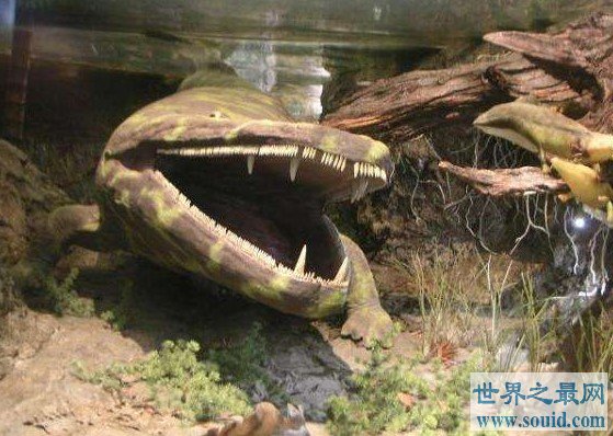 史前凶猛动物，体长8米能捕食恐龙(www.gifqq.com)