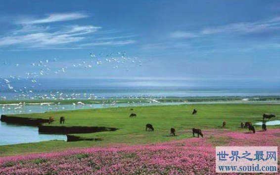 中国最大的淡水湖3960平方公里，像一个巨大的葫芦(www.gifqq.com)
