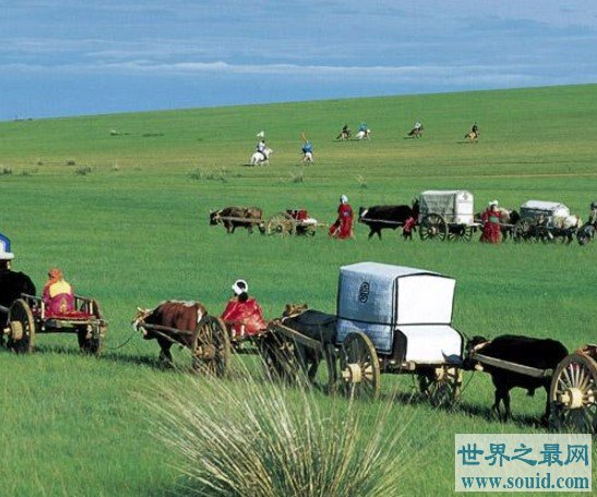 中国最大的草原，更是目前我国最佳的天然牧场之一