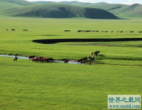 中国最大的草原，更是目前我国最佳的天然牧场之一(www.gifqq.com)