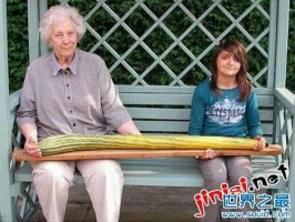 世界上最长的黄瓜