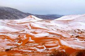 全球最热撒哈拉沙漠下雪了，有生之年的奇迹