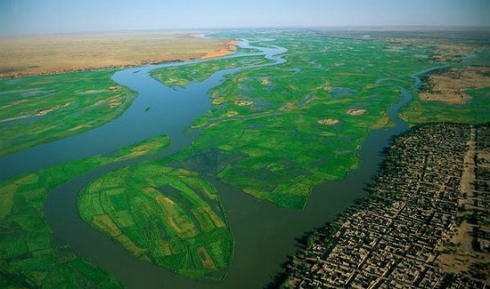 世界上最大的湿地(www.gifqq.com)