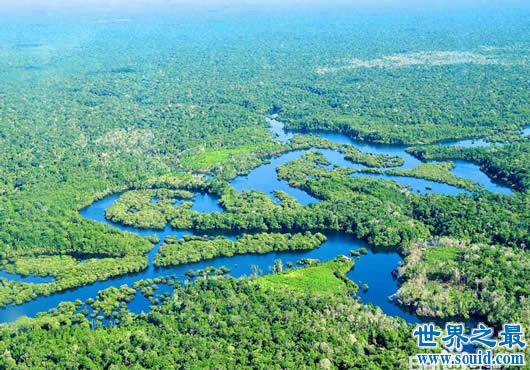 世界上最大的平原，亚马逊平原(560万平方公里)(www.gifqq.com)