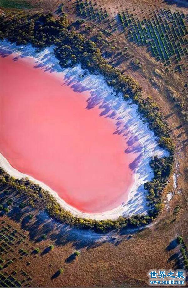 世界上最美的八大湖泊，血色粉红湖最惊艳(www.gifqq.com)