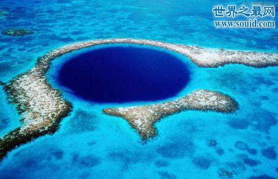 世界上最大口径的蓝洞，伯利兹大蓝洞(与鲨共舞)(www.gifqq.com)