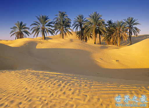 世界最大的沙漠，撒哈拉沙漠(960万平方千米)(www.gifqq.com)