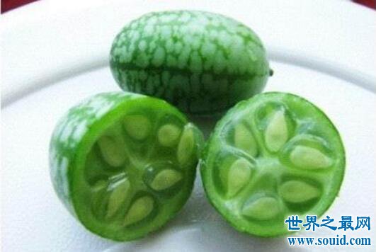 世界上最小的西瓜，拇指西瓜(真的只有拇指大)(www.gifqq.com)