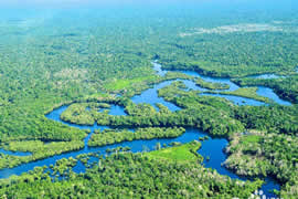 世界上最大的平原，亚马逊平原(560万平方公里)