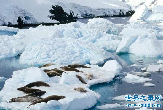 南极洲世界之最，世界最荒凉孤寂的大陆(www.gifqq.com)